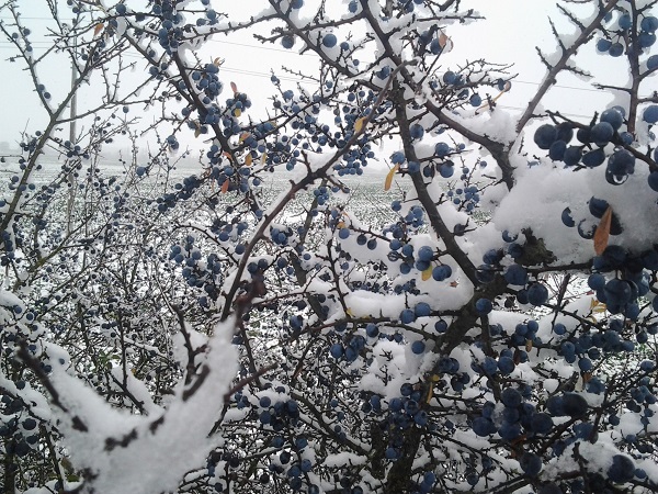 Stark durch den Winter