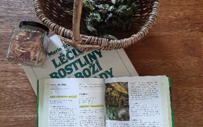 Kräuterapotheke für alle Fälle